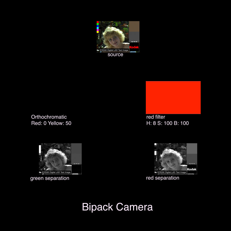 Bipack Camera