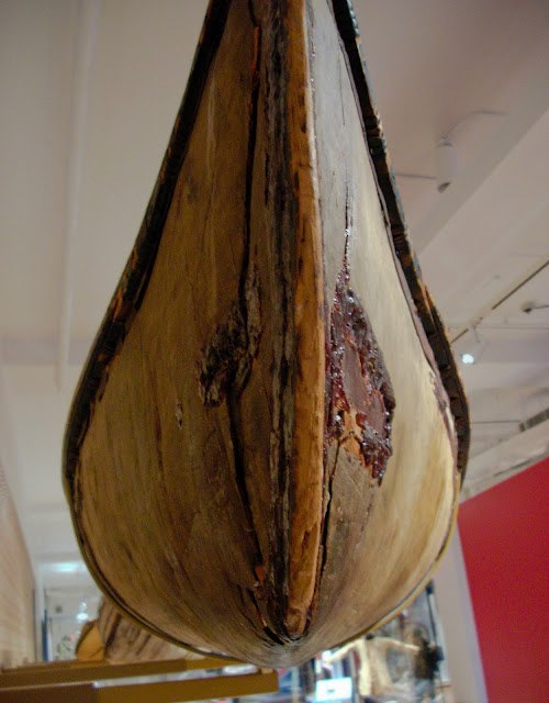 ROM canoe bow, showing sap seal